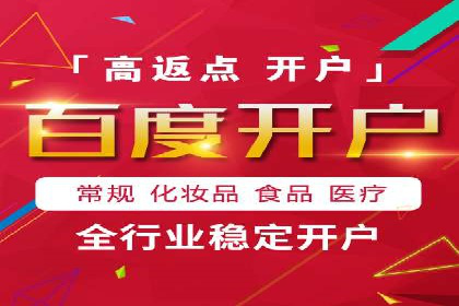SEM广告投放中的数据监控与调整策略——以某品牌营销案例为例
